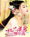 《她的聲音，教我怎麼高潮》